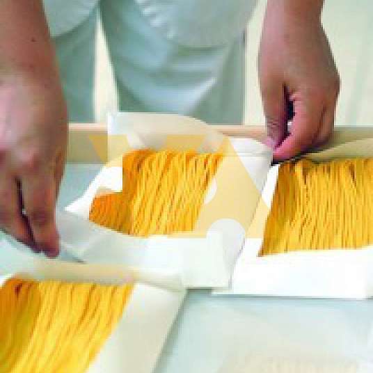 Filotea S.r.l. (Филотеа)