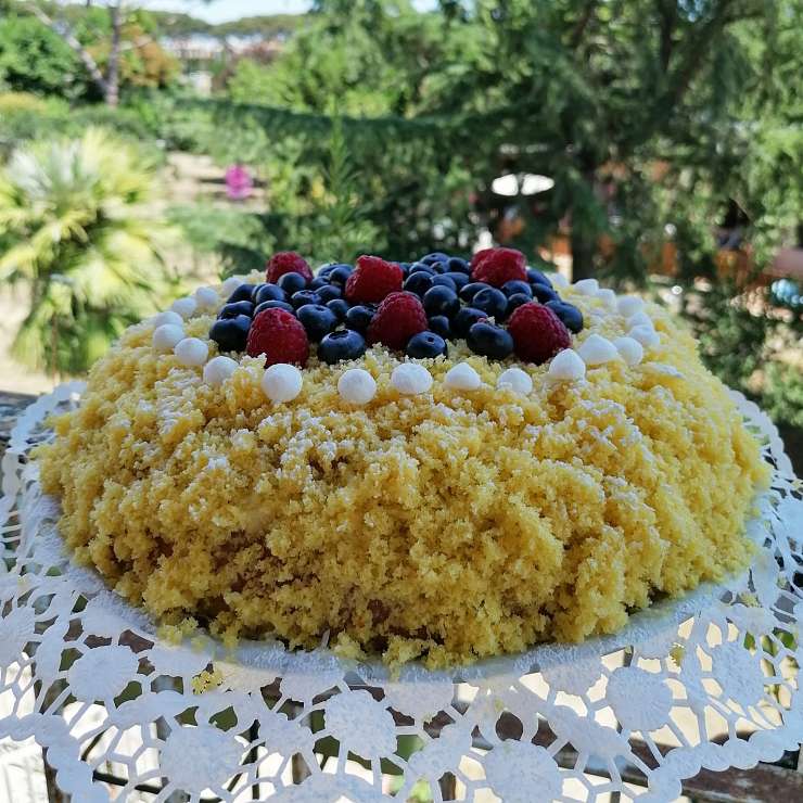 Торт Мимоза с лесными ягодами 