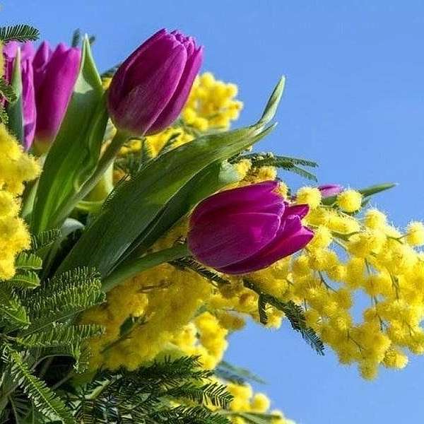 Приближается Международный женский день — пора поздравлений и подарков!