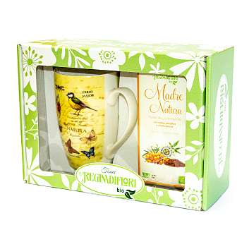 Набор подарочный Чай "Мать Природа" 45 гр BIO,15 пакетиков по 3 гр, и кружка фарфоровая "Дикие фрукты" 500 мл REGINADIFIORI (подарочная карт/кор)