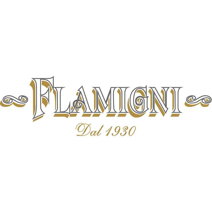 Flamigni S.r.L. логотип