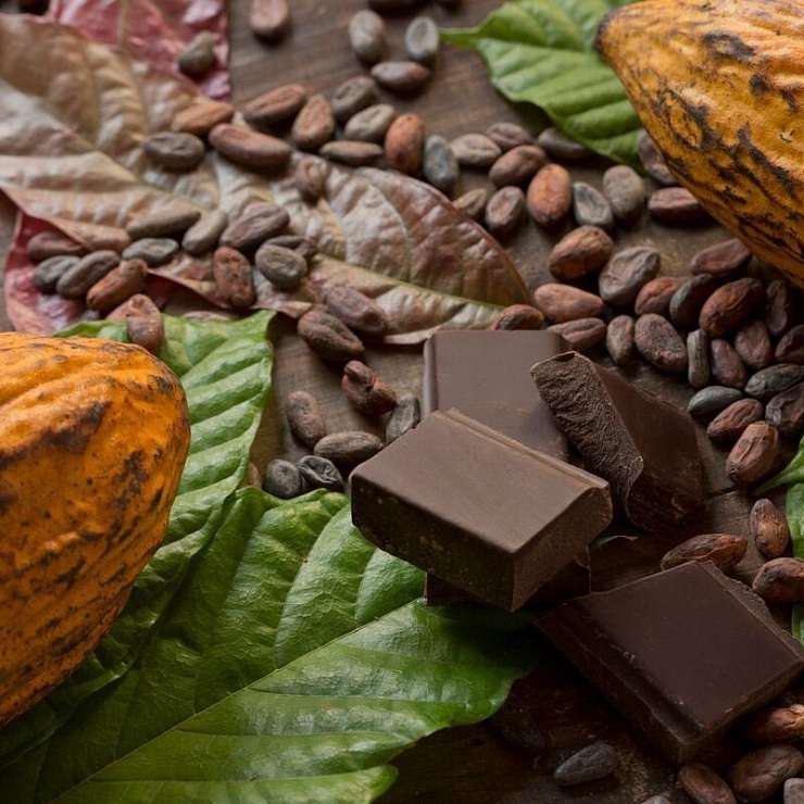 Шоколад. Интересные факты 