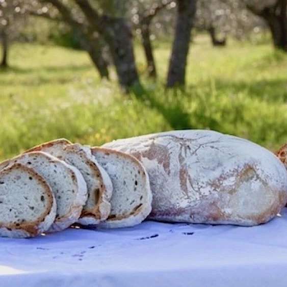 Тосканский хлеб