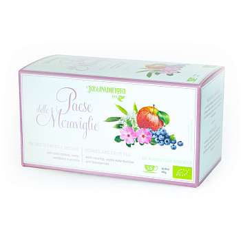 Чай фруктовый с шиповником, яблоком, бузиной и черникой "Страна чудес" BIO, 15 пакетиков по 3 гр, REGINADIFIORI, 0,045 гр (карт/кор)